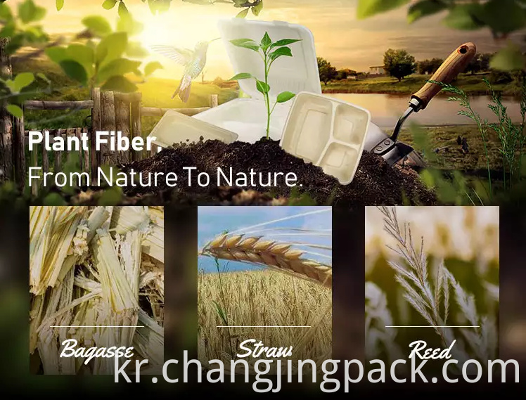  sugarcane bagasse bags